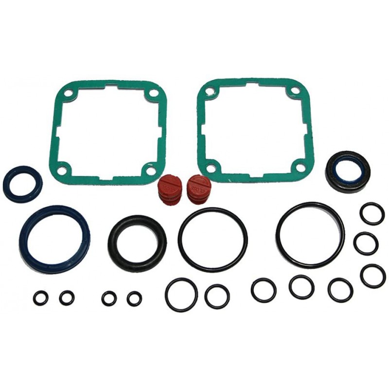 SEALS KIT GASKETS FOR GOLD OPERATOR AND FORCE ADJUSTMENT SCREWS 2609381