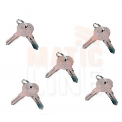 BFT KEYS 5 COUPLES FOR SBLOCING MOTORS AND SECLETTORS I100097 10010