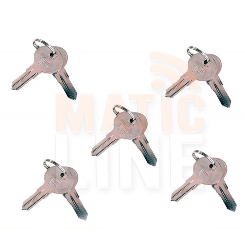 BFT KEYS 5 COUPLES FOR SBLOCING MOTORS AND SECLETTORS I100097 10010