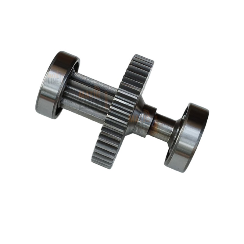 DITEC 6BOXAS SECONDARIO ALBERO GROUP FÜR ARC-DOR-BOX