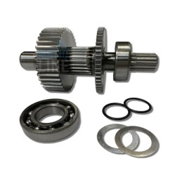 CONJUNTO DE EJE PRINCIPAL DITEC 6DORAP PARA PUERTAS INDUSTRIALES DOR