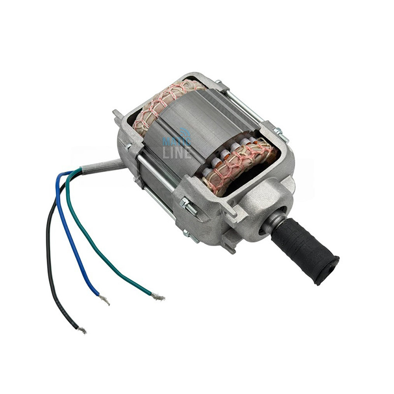 NICE GRUPPO MOTORE ELETTRICO ASSEMBLATO DI RICAMBIO WINGO WG5000 WG4000 230V WGA05