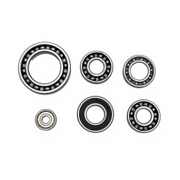 BFT KIT CUSCINETTI PER MOTORE INTERRATO ELI250 ELI AC/BT A40 - 2609517